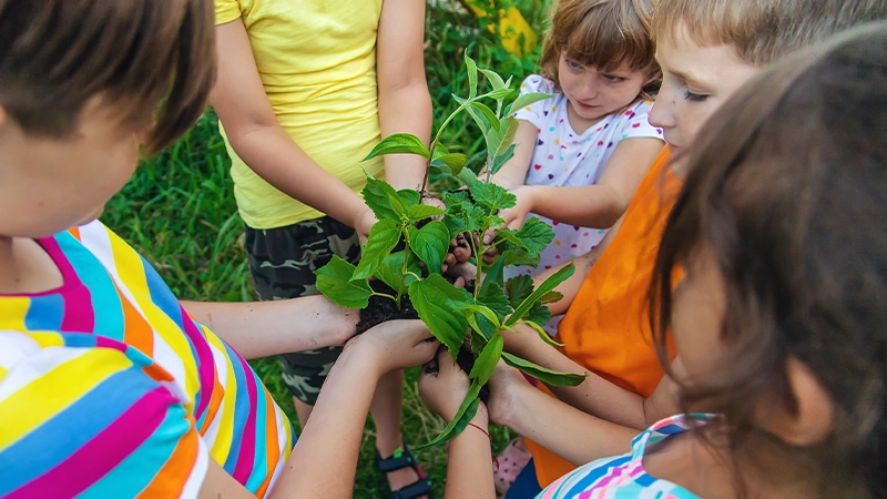 doga ile ic ice anaokulu nedir
